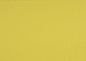 Papier Colorplan Chartreuse 350g